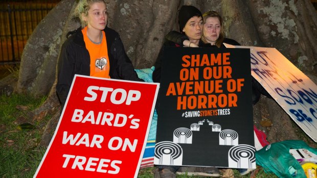 Protesters try to save Anzac Parade fig trees removed for the light rail. 
