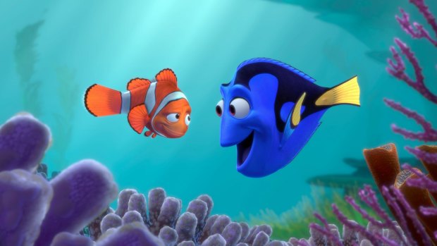 Researchers have found some fish can co-operate with each other.