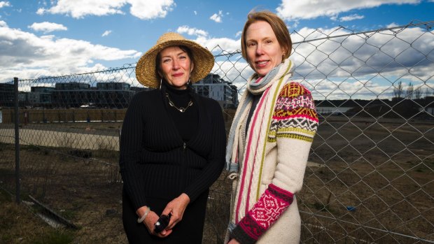 Janet Hughes and Nancy Waites are concerned about the lack of consultation over a plan for a six story apartment block on the Peninsular. Photo: Dion Georgopoulos