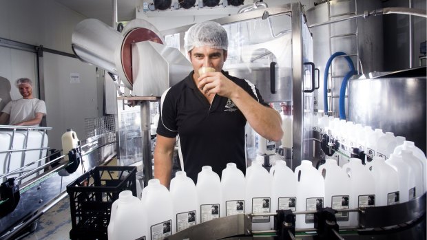 Ben Evans produces 37,000 litres of milk a week at his small scale dairy operation.