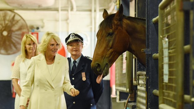 Camilla, the Duchess of Cornwall, is introduced to horses in the stables during their visit to the NSW Police Mounted Unit in Redfern.