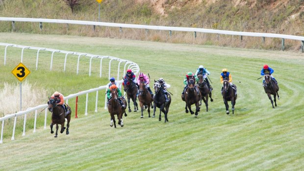 Runaway winner: Lochte (front) puts a gap on his opposition in the Maiden Plate at Queanbeyan on Tuesday. 