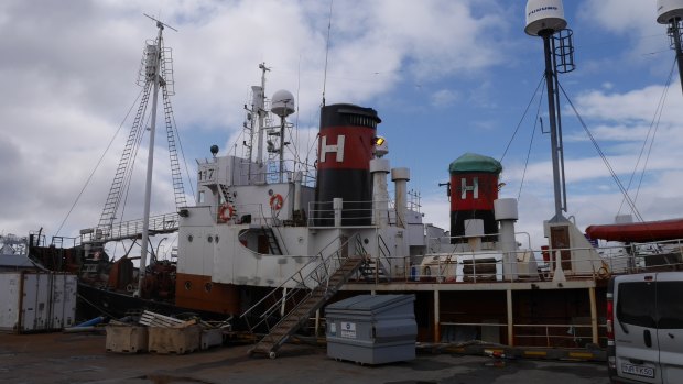 Whale-hunting boats in Reykjavik's Faxafloi Bay.