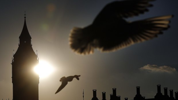 Seagulls pass by as the sun sets beside Big Ben's clock tower in London.