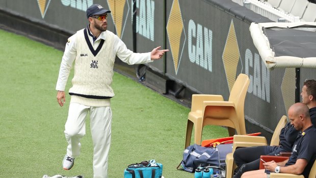 Out of favour: Glenn Maxwell on 12th man duties for Victoria at the MCG.