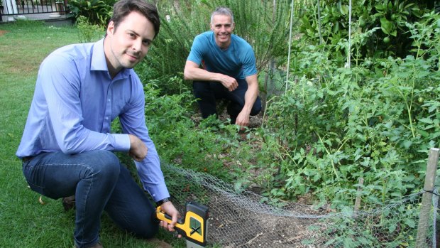 Health risk: Marek Rouillon (left) and Professor Mark Taylor test lead concentration in garden soil.