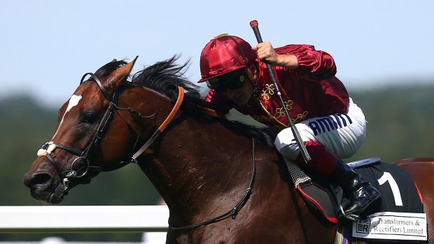 Hard to beat: International galloper Arod has a liking for firm racing surfaces.