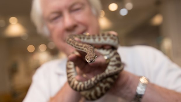 Nick Le Souef was reunited with his runaway python Crack-a-Jack on Tuesday.