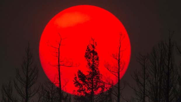 The sun is obscured by smoke from wildfires in the distance behind burnt trees in Williams Lake, British Columbia, last month. 