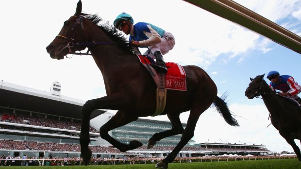 Agony and ecstasy: Admire Rakti barrels down the back straight on his doomed Melbourne Cup run.