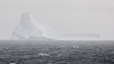 All white:This iceberg at Cierva Cove was the right way up. 