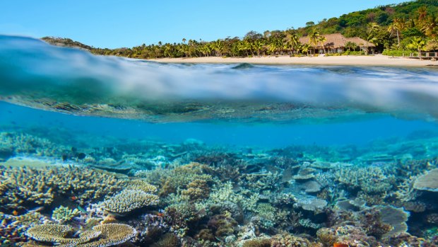 Billionaire developer Lang Walker owns Kokomo Private Island Fiji. 