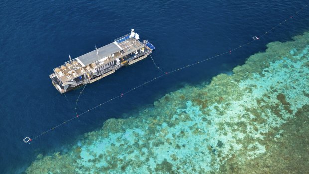 The new pontoon sits alongside the reef shelf.