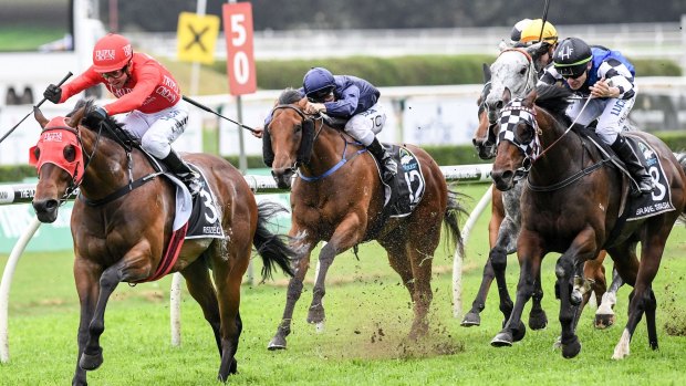 Sydney showdown: Redzel wins the inaugural Everest, another option next year for Winx.