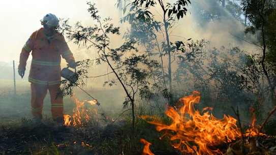 'Just irresponsible': Government sacks senior fire managers as season ...