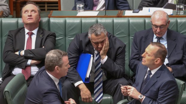 Agriculture Minister Barnaby Joyce, Treasurer Joey Hockey, Deputy Prime Minister Warren Truss, Education Minister Christopher Pyne and Prime Minister Tony Abbott in Parliament.