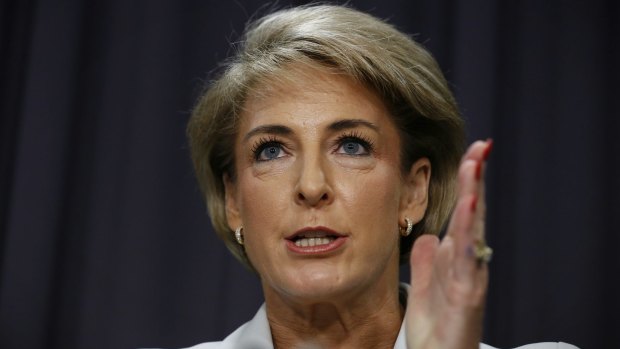 Employment Minister Michaelia Cash brushed over the core issue of gender pay inequality.
