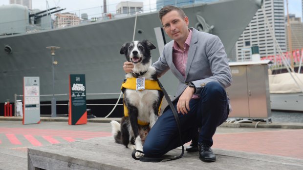 Border collie Bailey Haggarty, the Australian National Maritime Museum's director of seagulls and head of security and hound handler, Adrian Snelling. 