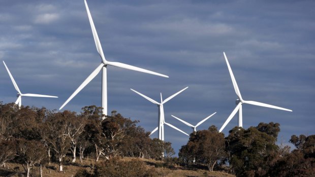 Wind turbines stand behind trees at the Capital Wind Farm, operated by Infigen Energy, in Bungendore, New South Wales, 