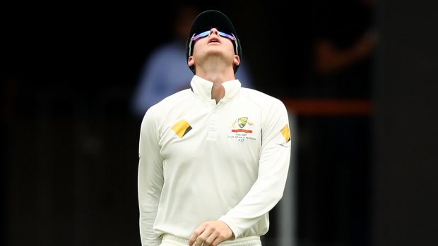 Relief: After plenty of ups and downs Steve Smith can celebrate after winning the first Test at the Gabba.