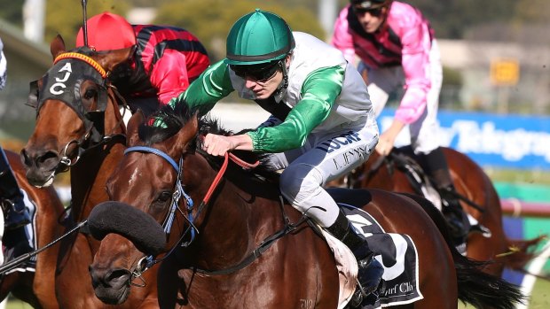 Riding on: Jockey Koby Jennings is making his mark in Sydney.