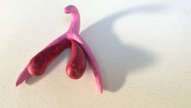 3D printed clitoris, developed by French researcher Odile Fillod.