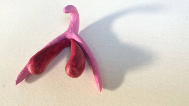 This 3d Printed Clitoris Model Is Set To Transform Sex Ed Classes In France