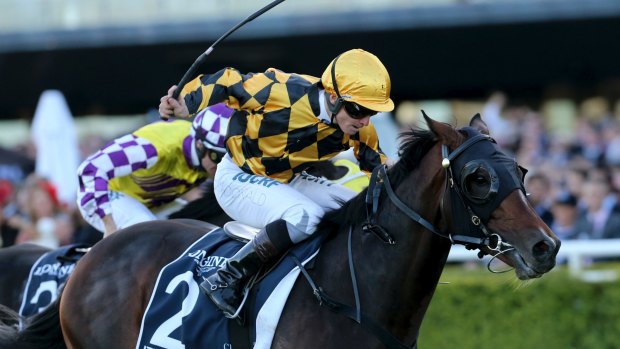 Done deal: Sky Racing will cease to show Australia's top thoroughbred meetings from today with Channel Seven, which already broadcasts big-ticket meetings like It's A Dundeel's Queen Elizabeth Stakes win during The Championships, seen as a long-term solution.