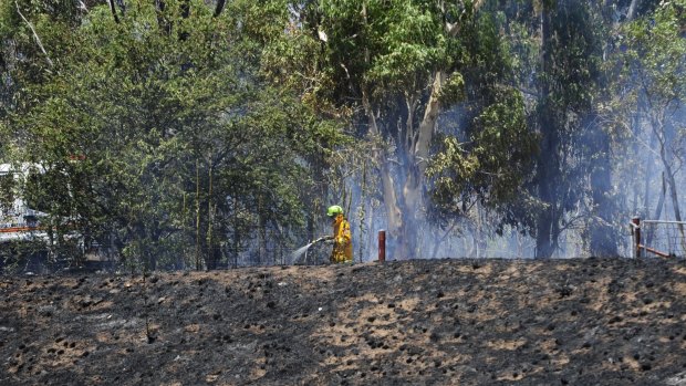 Firefighters have warned that more bushfires like last weekend's Mount Taylor blaze could be on the way.