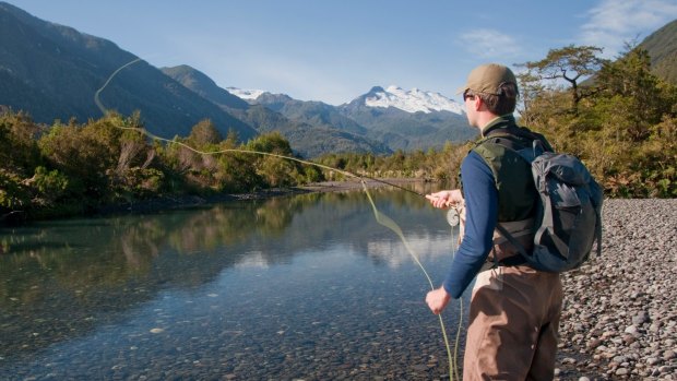 Fly fishing high in the Patagonian Andes of Chile. 