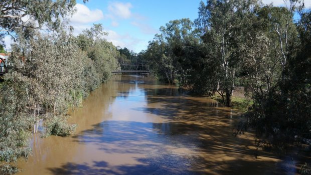 Wangaratta copped a month of rain in a day on Saturday.