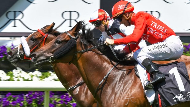 Photo finish: Christian Reith on Almost Court (left) and Glyn Schofield riding Emperor's Way finish in a dead heat in the Fairfax & Foberts Jewellers Handicap at Randwick.