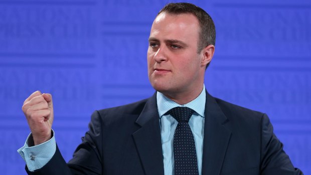 Tim Wilson had to overcome a dirty tricks campaign to win preselection in Goldstein. 