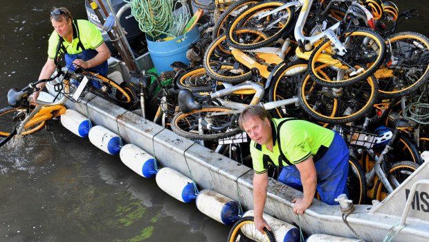 Contractors collect oBikes from the Yarra River.