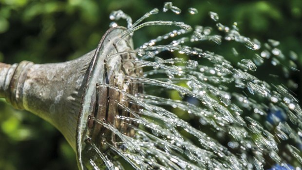 Drops of wisdom: Irrigation has been a challenge for gardeners since gardening began.