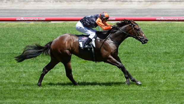 With a history of knee problems, Kaiser Sun relishes racing up the straight at Flemington.