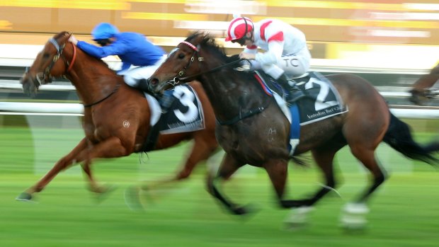 Will to win: Southern Legend runs down Haptic to win the last at Randwick. 