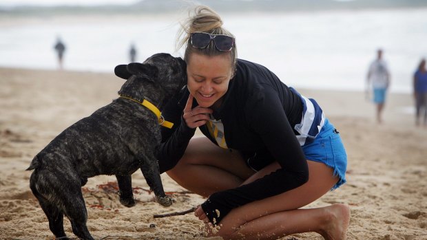 Joanna Wilczak plays with her French bulldog Roger on the dog-friendly Wanda Beach near Cronulla.
