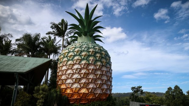 The big pineapple on Queensland's Sunshine Coast.