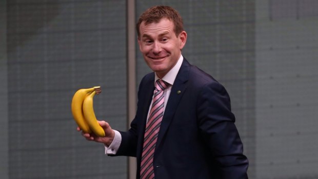 Labor MP Nick Champion is kicked out of question time with his bananas.