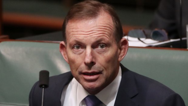 Tony Abbott says the Greens have 364 other days a year to be "politically correct".