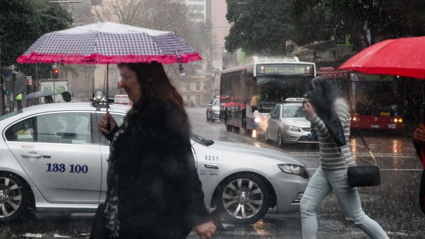 Sydney wet weather in August this year. Photo by Edwina Pickles.