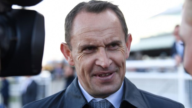 Pressure: Trainer Chris Waller after another Winx victory.