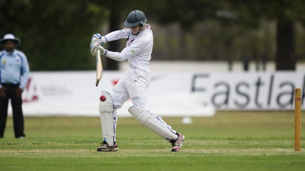 Young gun: Wests/UC opener Matthew Gilkes on his way to 80 against Eastlake on Saturday.