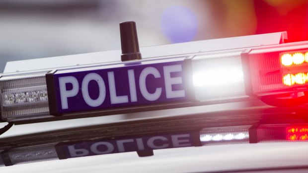 One driver in a stolen ute tried to evade police.