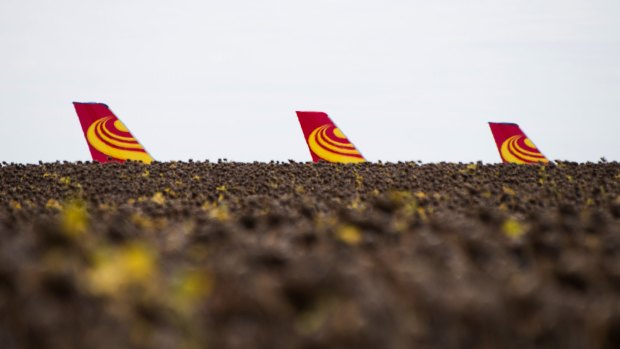 Tail fins of grounded Hong Kong Airlines passenger aircraft stand beyond a field of sunflowers at Chateauroux airport.
