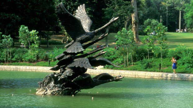 Swan Lake in the Singapore Botanic Gardens.