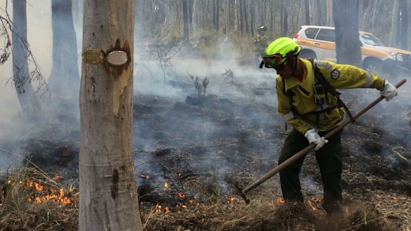 A ranger conducting controlled burns.