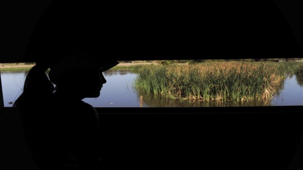 Sophia Kesina, 8, of Chisholm, has a view of the wetlands from a bird hide.