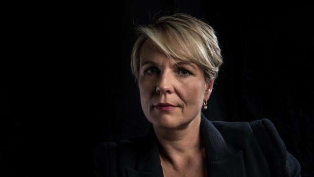 Tanya Plibersek says the young people who featured in the Four Corners report have been failed by the political class.